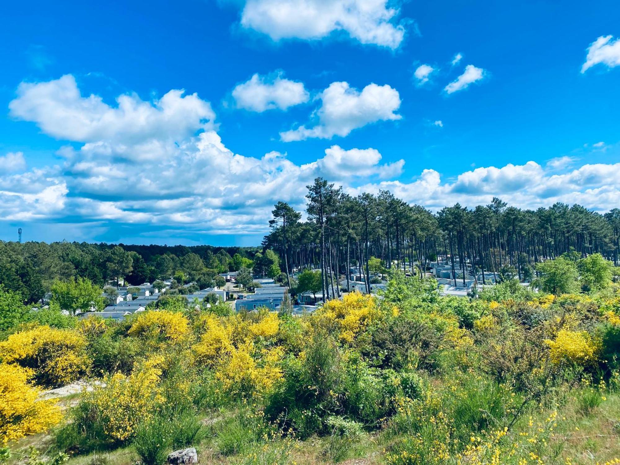 Mobile Home - Les Dunes De Contis Saint-Julien-en-Born Luaran gambar